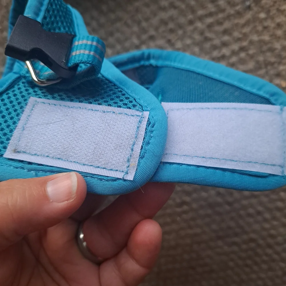 Turquoise Dotoner XS Cat/Dog Harness with Leash in package